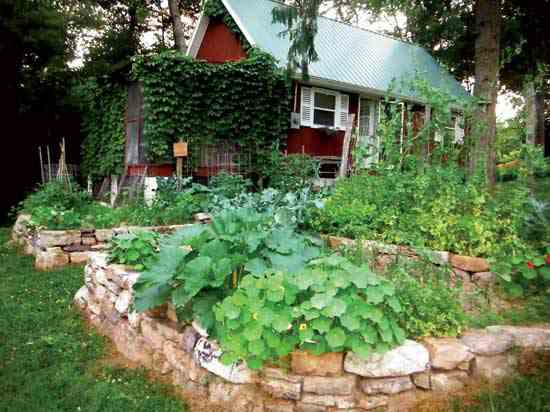 Reader Suzanna Garrett’s Virginia garden brims with bounty and beauty.